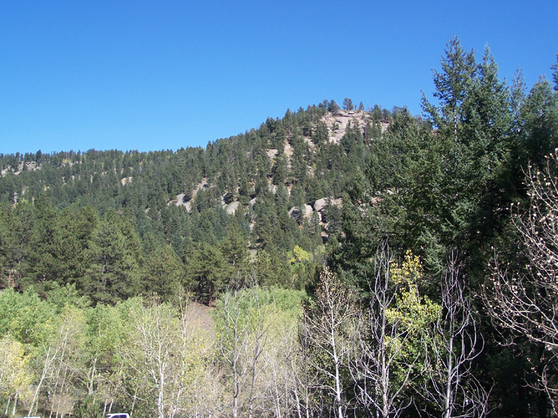 Colorado Mountain Estates Subdivision, Unit 10, Lot 1241 Picture h