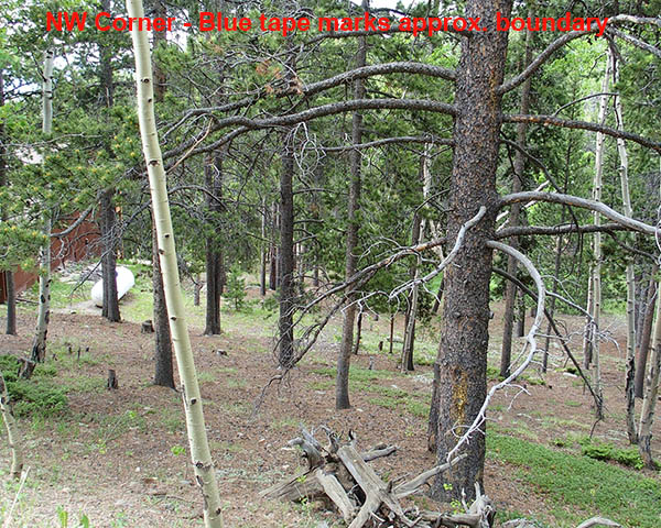 Lodgepole Picture 27